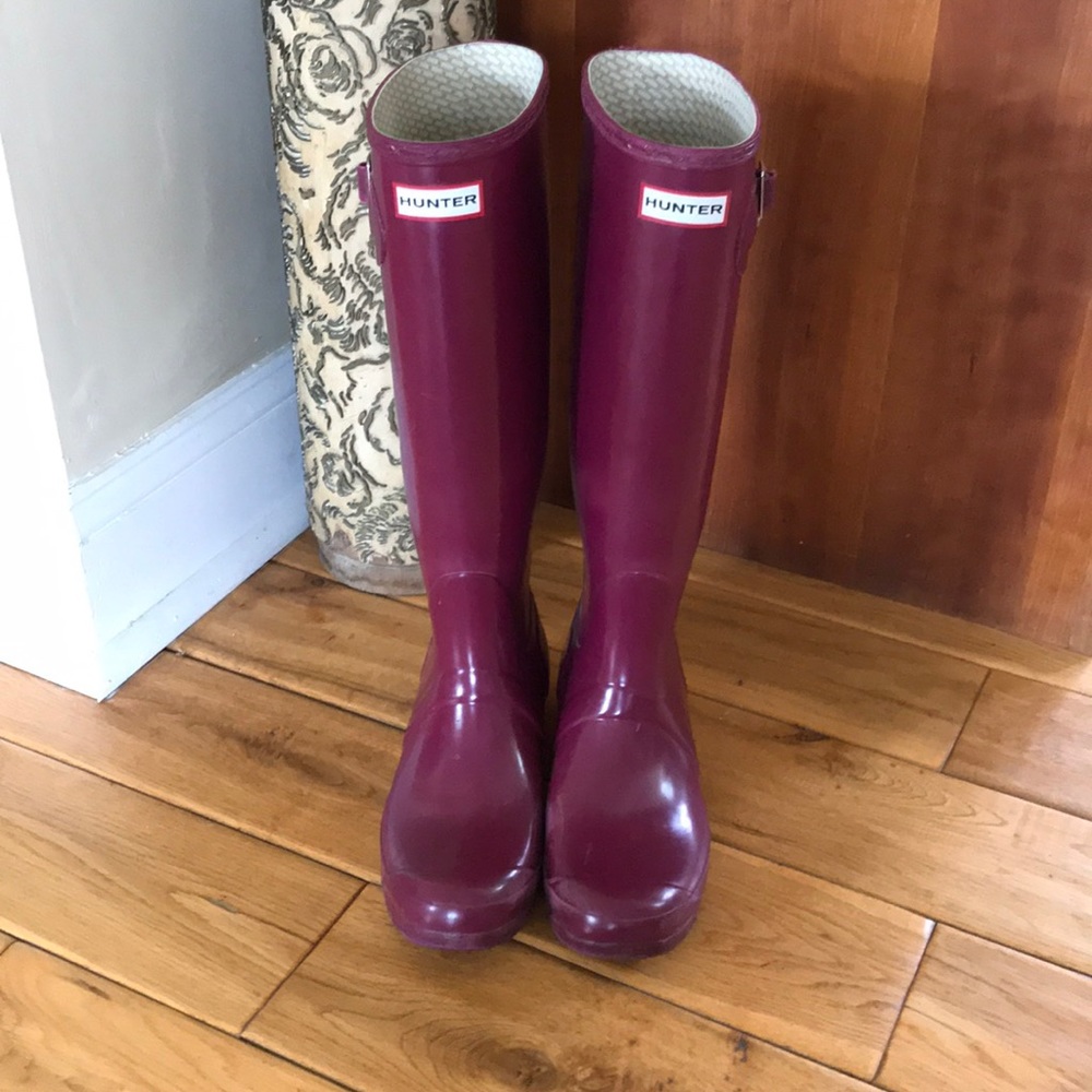 Tall Violet Hunters